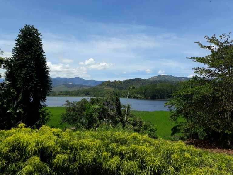 Lake Angostura-min