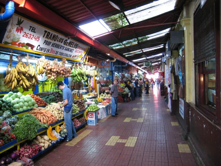Mercado central 2